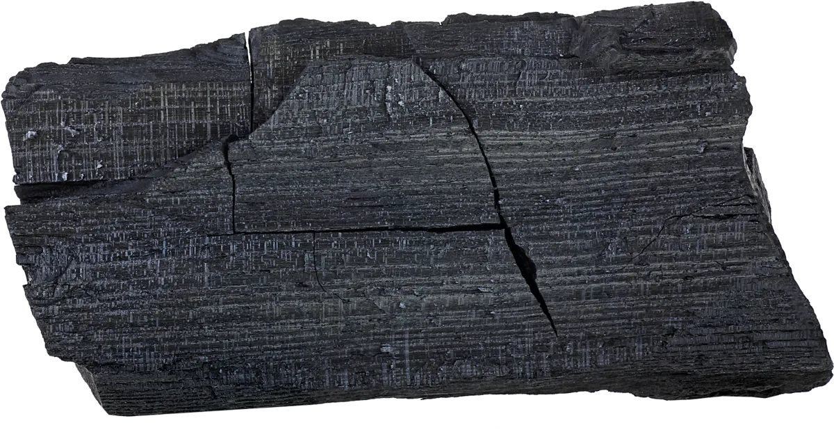 Piece of wood biochar